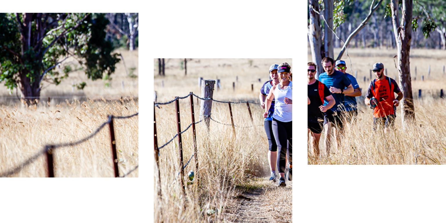 Backyard Ultra Australia Best Ultra Marathons in Australia Dead Cow